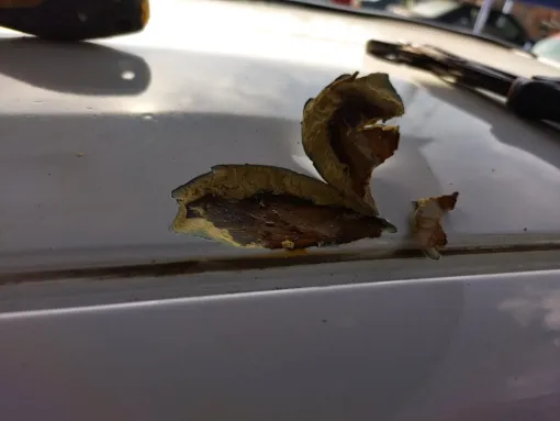 traitement de rouille sur toit 974 à Saint-Paul AER Peinture