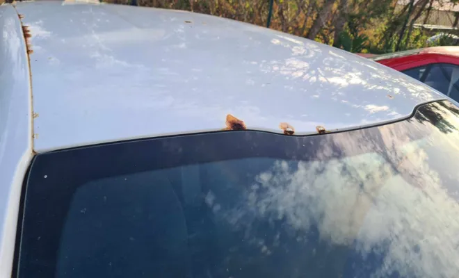 Toit corrosion perforante Peugeot 208